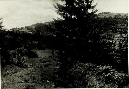 Eigene Schützenstellung mit Blick zur Menczel. (BildID 15431688)