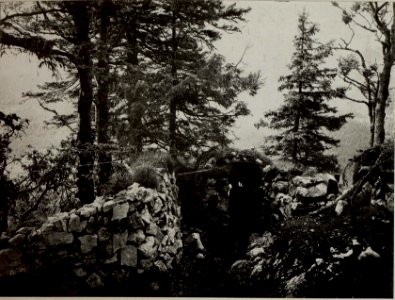 Eigene Stellung am JAVORCEK. Aufgenommen am 27. Juli 1916. (BildID 15478731)