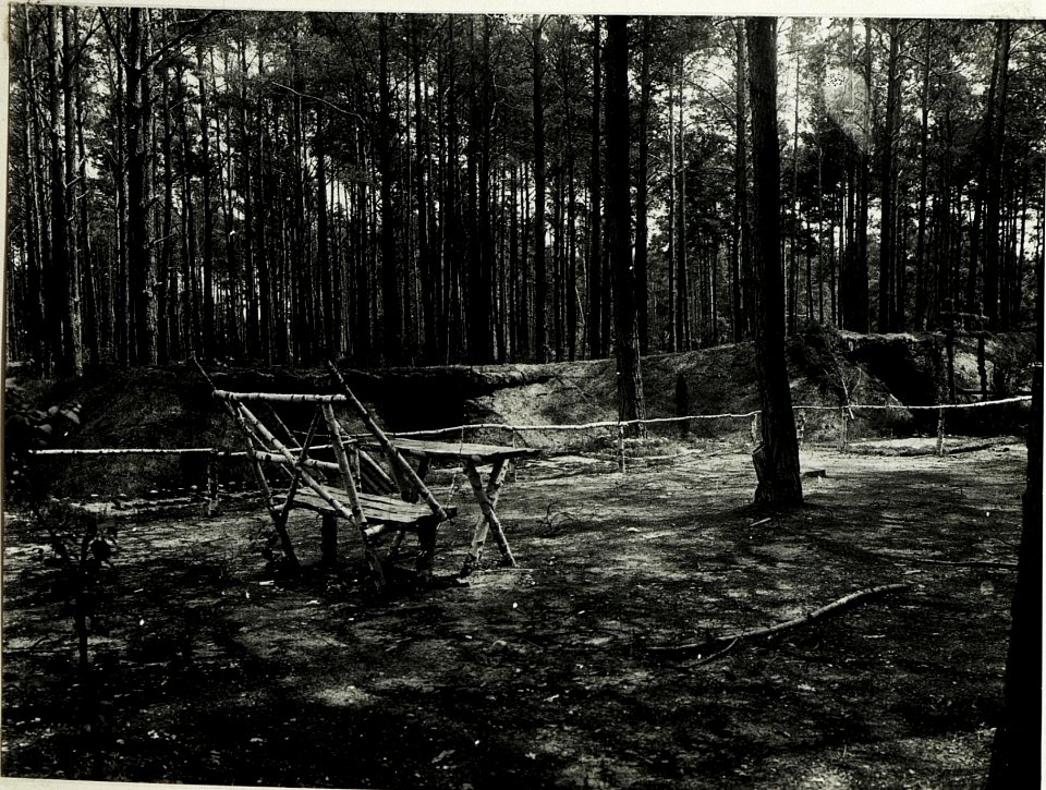 Eigene Ruhestellungen des k. u. k. Dragonierregiments Oberst Serda im Wald westlich Rozensk. (BildID 15589740)