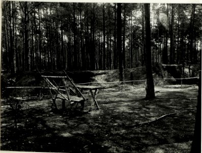 Eigene Ruhestellungen des k. u. k. Dragonierregiments Oberst Serda im Wald westlich Rozensk. (BildID 15589740)