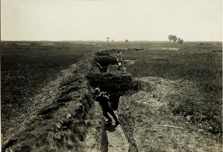 Eigene Schützenstellung an der Strasse Stryj - Zydaczow. (BildID 15431436)