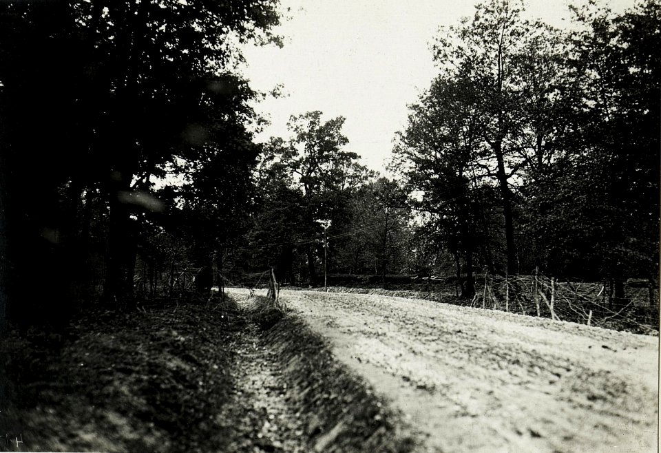 Eigene vorbereitete Stellung im Walde Zawalow (BildID 15432609)