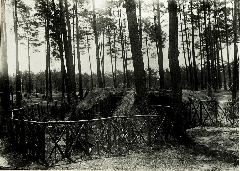 Eigene Ruhestellung im Wald bei Glupiejòw. (BildID 15589818)