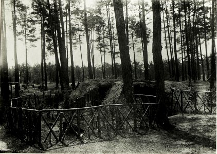 Eigene Ruhestellung im Wald bei Glupiejòw. (BildID 15589818)