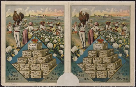 Eight Cotton Bale remedies. Crowned with merit and success LCCN2005687684