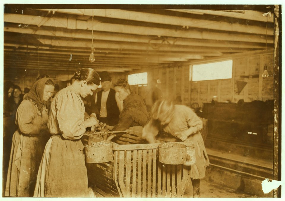 Eight-year-old Lizzie, earns 30 cents a day shucking oysters in the Dunbar Cannery. I saw her working steady all day, at top speed. Could not speak a word of English. LOC nclc.00910