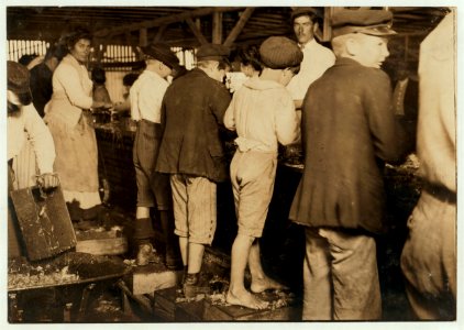 Eight-year-old Max, the youngest shrimp-picker in the photo. Dunbar, Lopez, Dukate Co. LOC cph.3a01054