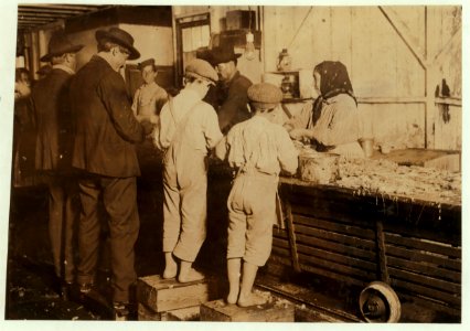 Eight-year-old Max, one of the young shrimp pickers in the Dunbar, Lopez, Dukate Company. Only a small force was working that day. LOC cph.3a01050