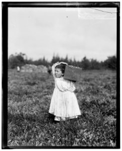 Eight-year-old, Jennie Camillo, lives in West Maniyunk, Pa. (near Philadelphia). For this summer she has picked cranberries. This summer is at Theodore Budd's Bog at Turkeytown, near LOC cph.3a01107