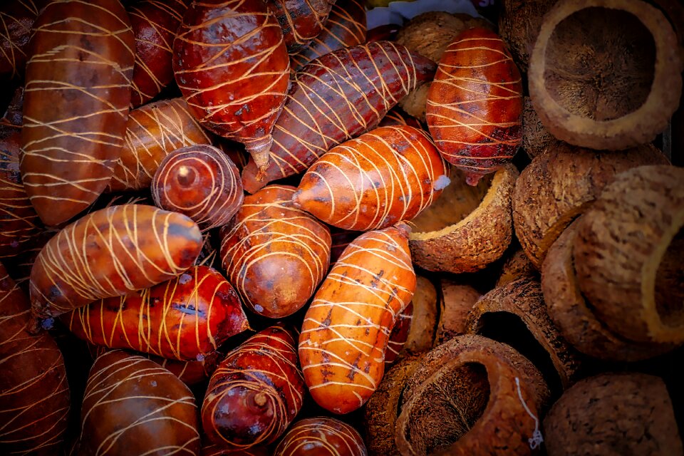 Market nature nutshells