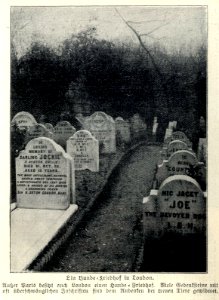 Ein Hunde-Friedhof in London, 1906
