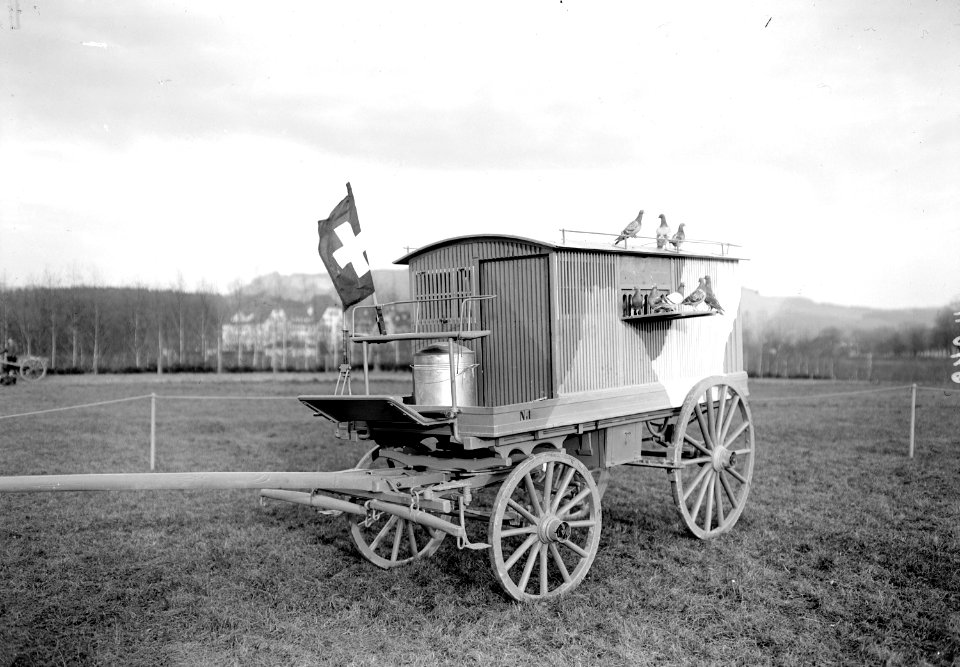 Ein Brieftaubenwagen der Armee mit Brieftauben besetzt - CH-BAR - 3240991