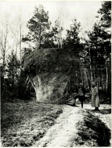 Ein eratischer Block in Galizien. (BildID 15592988)
