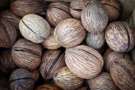 Market nature nutshells