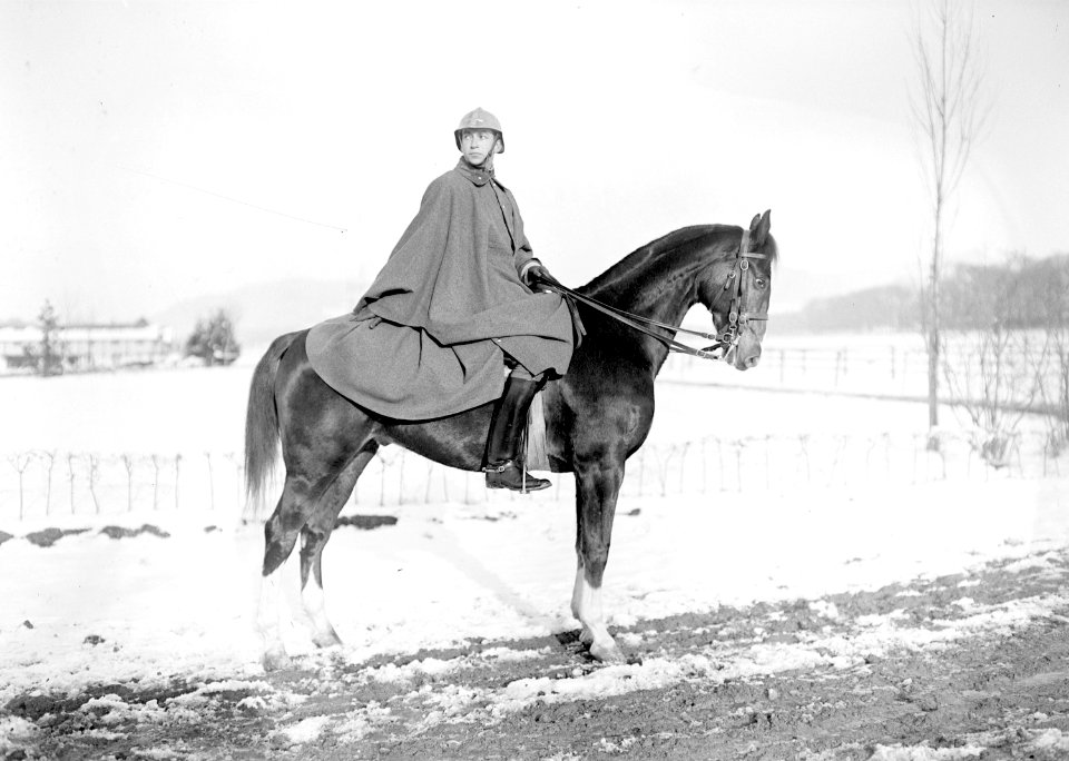 Ein Reiter mit Winterreitmantel und dem neuen Stahlhelm von 1917 - CH-BAR - 3240241