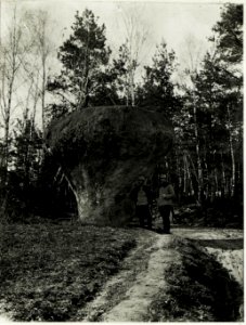 Ein eratischer Block in Galizien. (BildID 15593002)