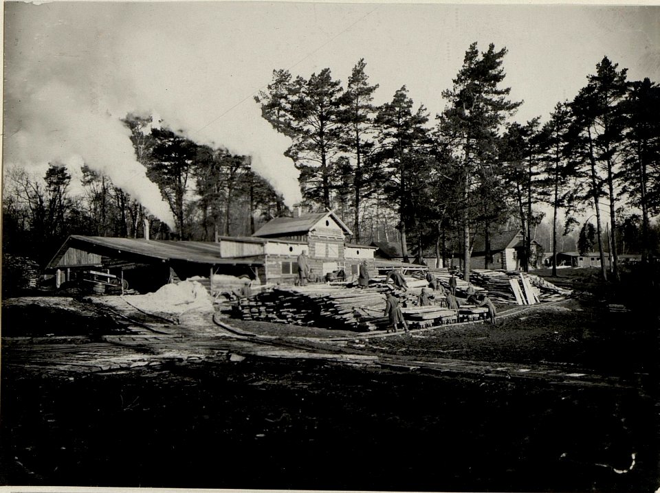 Ein vom 9. Korpskommando gross angelegtes Sägewerk in Worotniewo in Wolhynien, mit Unterkünften für die Betriebsleitung bestehend aus 2 Offizieren und ca. 100 Mann und einem Fuhrpark von 35 bespannt (BildID 15541813)