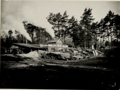 Ein vom 9. Korpskommando gross angelegtes Sägewerk in Worotniewo in Wolhynien, mit Unterkünften für die Betriebsleitung bestehend aus 2 Offizieren und ca. 100 Mann und einem Fuhrpark von 35 bespannt (BildID 15541813)