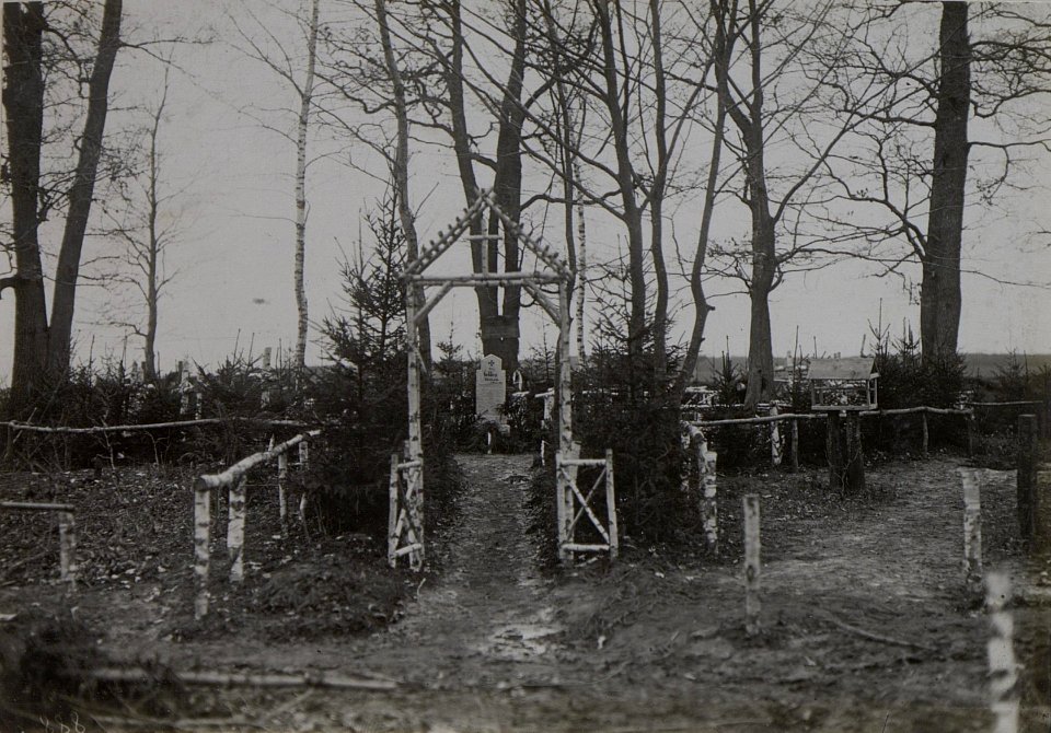 Ein Soldatenfriedhof in der Ukraine (BildID 15441817)