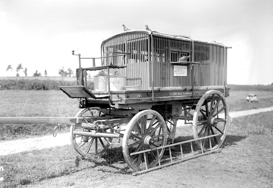 Ein mobiler Brieftaubenwagen - CH-BAR - 3240821