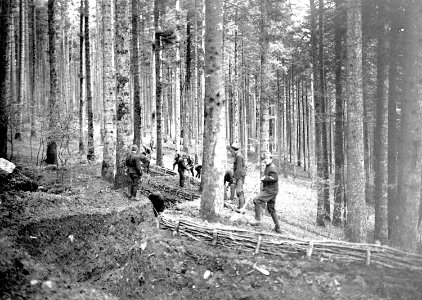 Ein praktisch fertiger Schützengraben im Wald - CH-BAR - 3240426