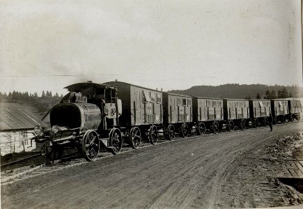Ein Sanitätszug auf dem Borgopass an der Grenze zu Rumänien, 31.10.1916 (BildID 15549054)