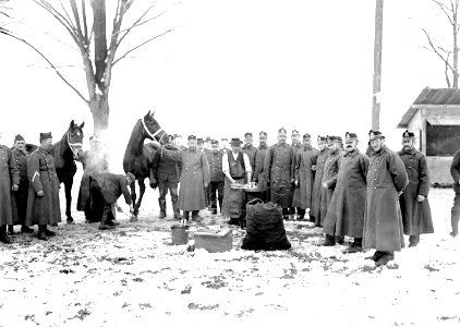 Einbrennen von Kennzeichen auf die Hufe der Pferde - CH-BAR - 3238204