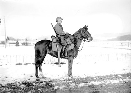 Ein vollausgerüsteter Dragoner mit dem neuen Stahlhelm von 1917 - CH-BAR - 3240244