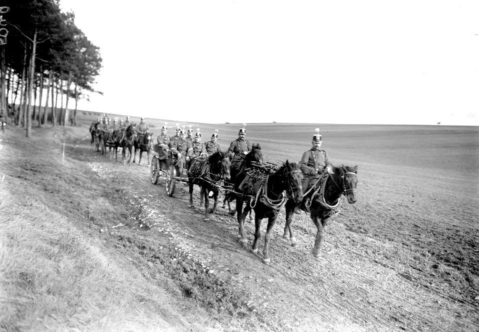 Eine Landwehr Mitrailleur Schwadron auf dem Marsch - CH-BAR - 3241068