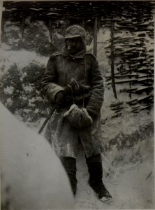 Ein Zigeuner beim Inf.Rgt.Nro.19 in Rarancze. (BildID 15448907)