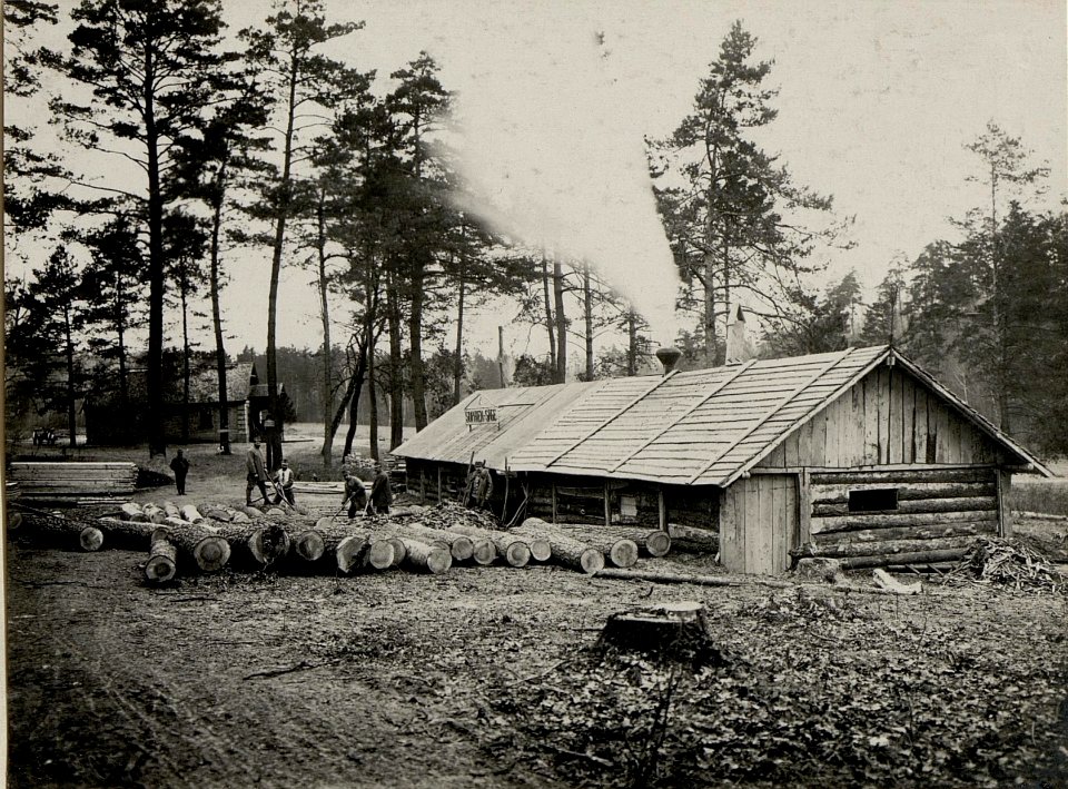 Eine vom 9. Korpskommando errichtete Gattersäge in Worotniewo, aufgenommen am 29. Jänner 1916 (BildID 15541463)