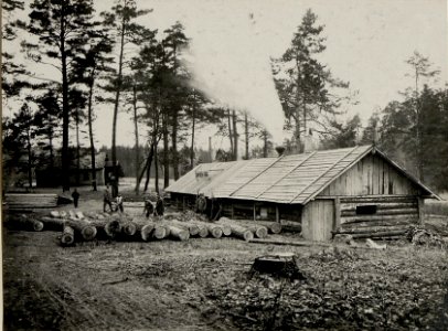 Eine vom 9. Korpskommando errichtete Gattersäge in Worotniewo, aufgenommen am 29. Jänner 1916 (BildID 15541463)