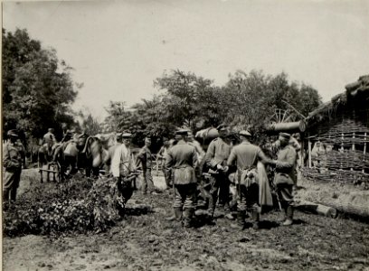 Eine von den Russen erbeutete leichte 15 cm Kanone, erbeutet in russ. Polen, in den Stellungen der 32.Infanteriedivision in Seredince, bedient von einer deutschen Batterie 646, 15.6.1916. (BildID 15542170)