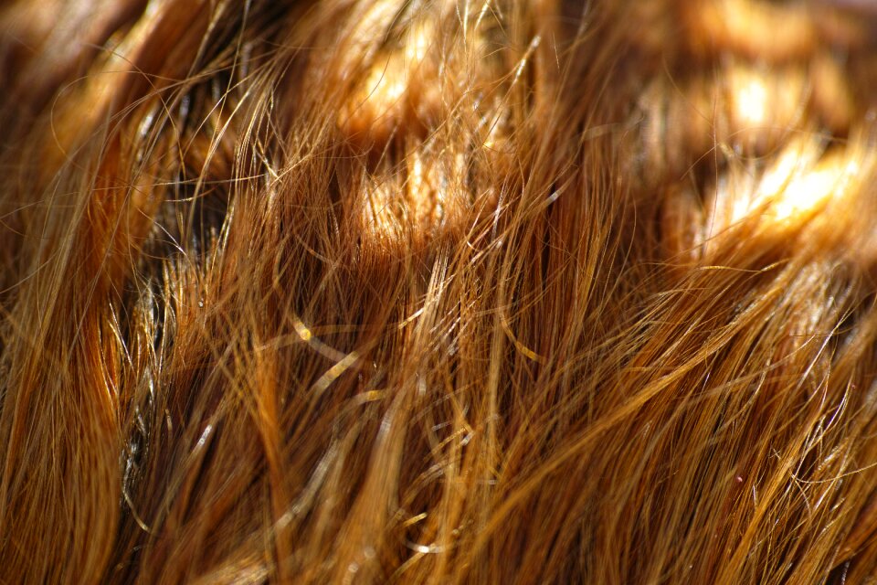 Hair texture abstract