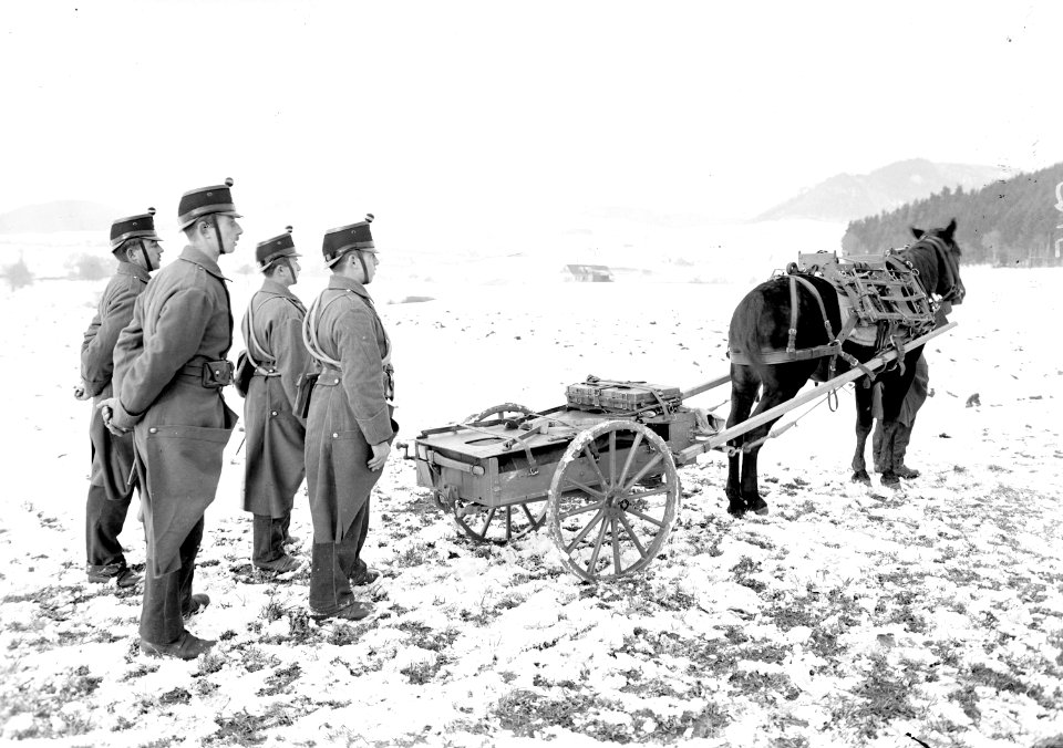 Eine Mitrailleureailleurgruppe mit ihrer Ausrüstung - CH-BAR - 3241036