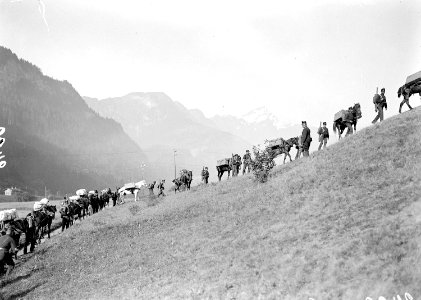 Eine Gebirgs Sanitäts Kompanie auf dem Marsch - CH-BAR - 3238794