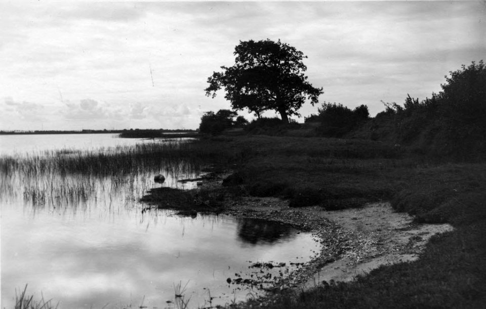 Einfelder See bei Mühbrook in der Nähe von Bordesholm (Kiel 54.308)