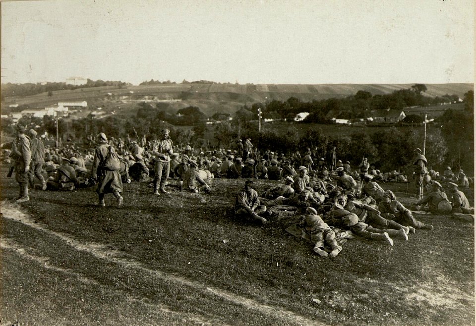Eingebrachte russische Gefangene in Podhajce (BildID 15524761)
