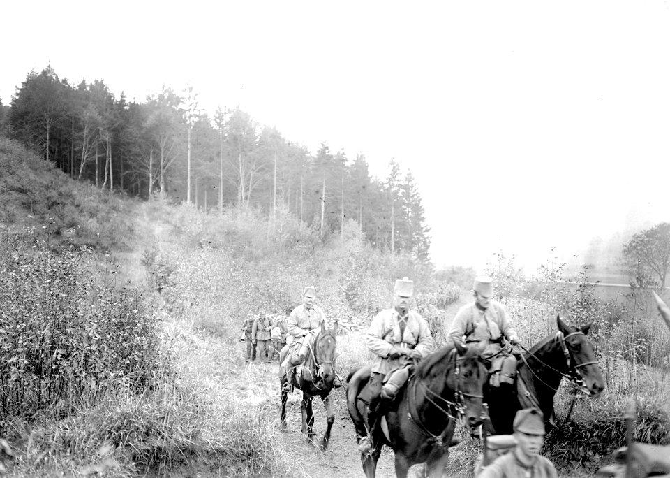 Einige dürfen auch reiten während des Marsches - CH-BAR - 3239081