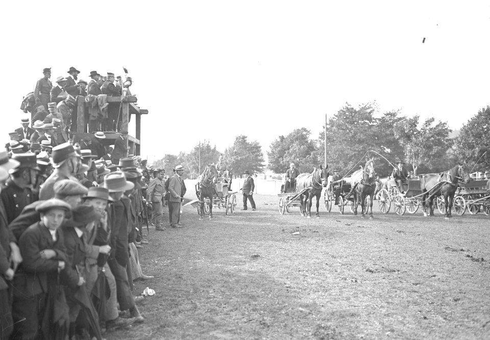 Einspänner vor dem Start zum Rennen am Marché-Concours des Chevaux - CH-BAR - 3239965