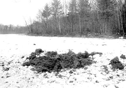 Einschlag deutsche 15cm-Granate beim Grenzstein 141 - CH-BAR - 3238032
