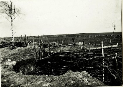 Eingene Infanteriestellung, westlich Stanislau, 19.April 1917. (BildID 15590457)