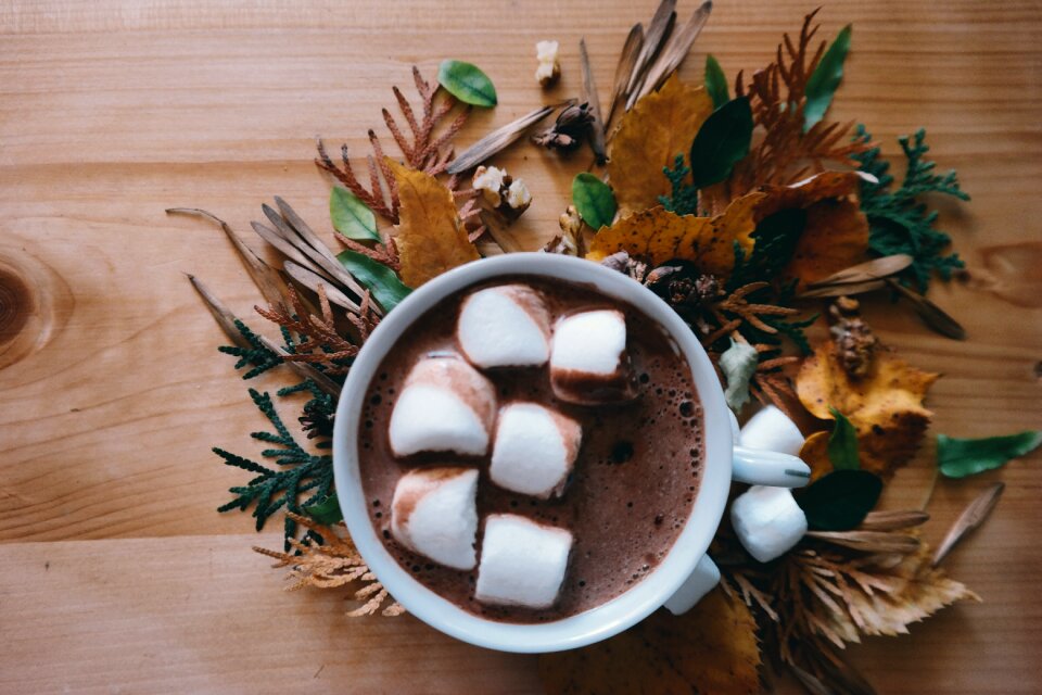 Marshmallow food cup