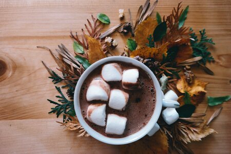 Marshmallow food cup photo