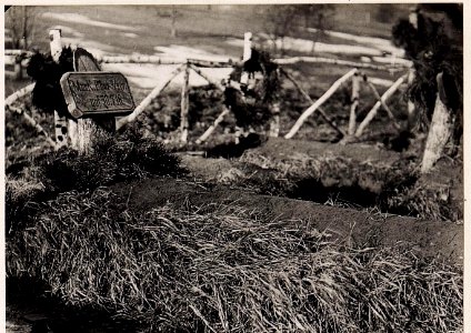 Einzelne Gräber am Militär-Friedhof bei der 2.Infanteriedivision (BildID 15709030)