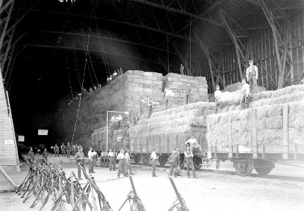 Eisenbahnwagen treffen in der Luftschiffhalle in Luzern ein - CH-BAR - 3238498