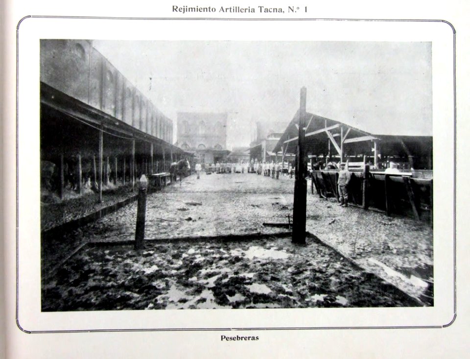 Ejércitodechile-álbumgráfico-1910-DSCF1448