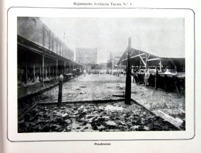 Ejércitodechile-álbumgráfico-1910-DSCF1448