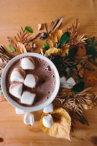 Marshmallow food cup