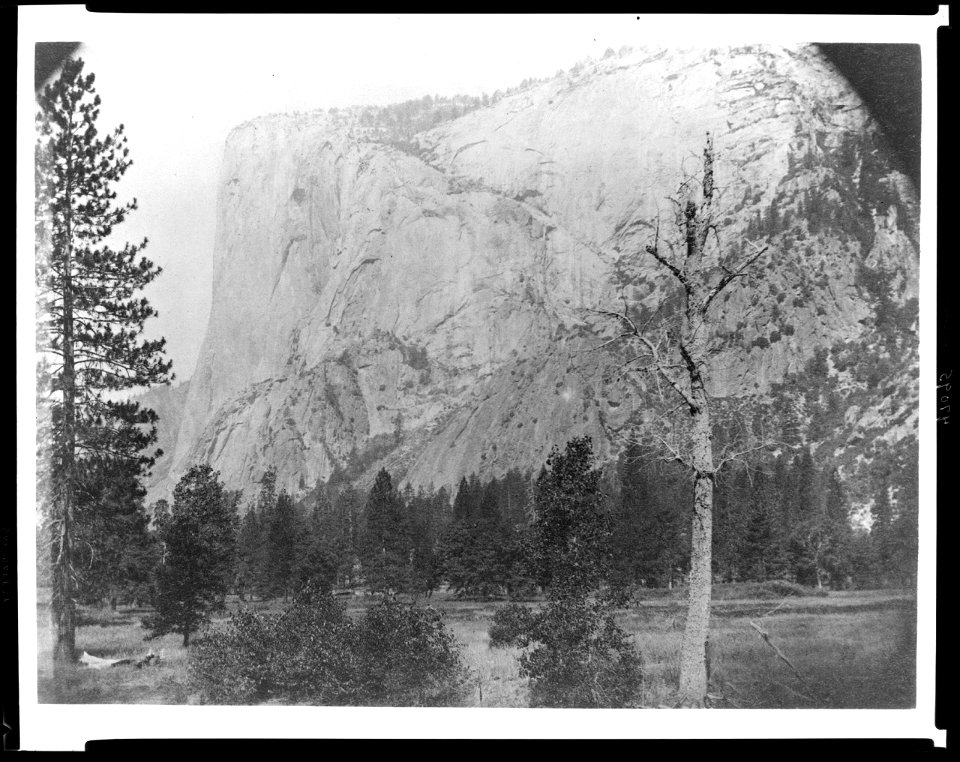 El Capitan, Yosemite National Park, Calif. LCCN95514073